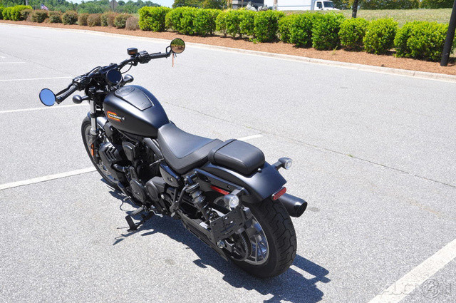 Nightster Special