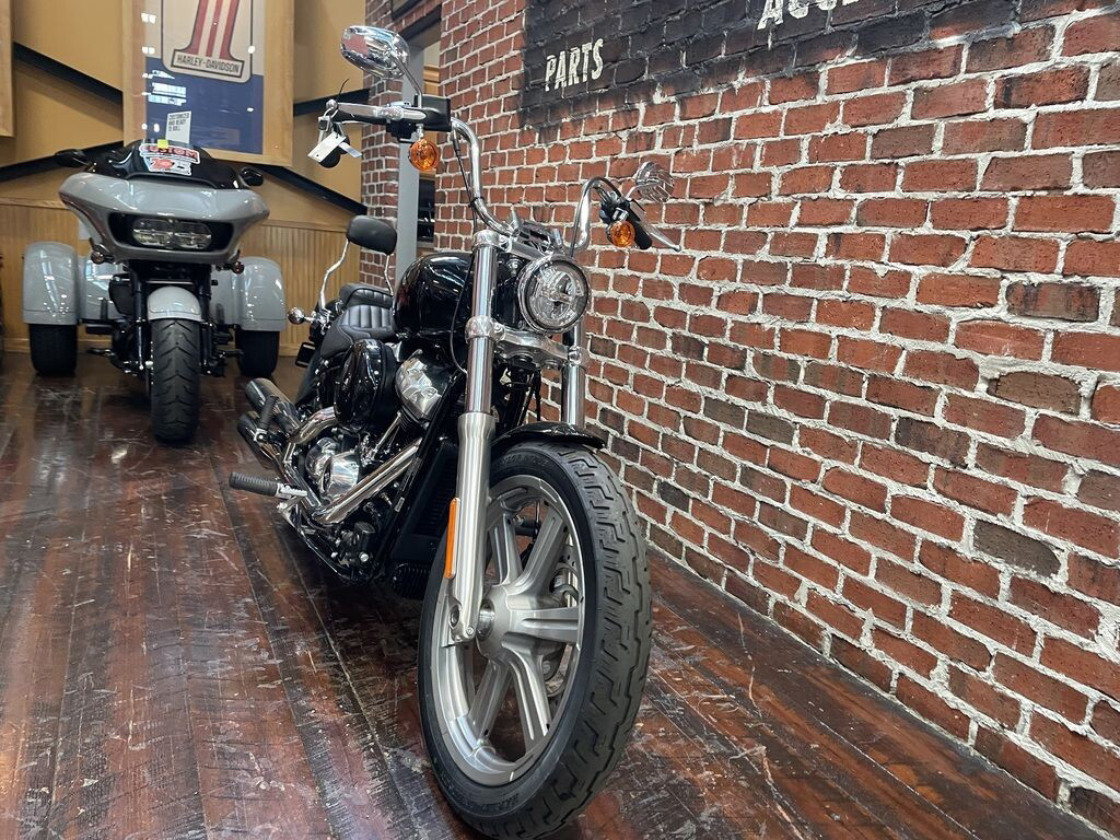 Softail® Standard