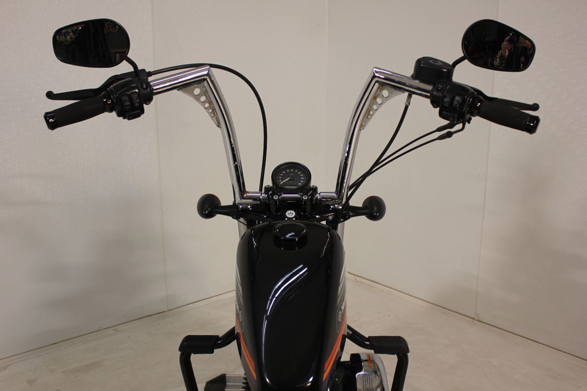 Sportster® Forty-Eight® Special