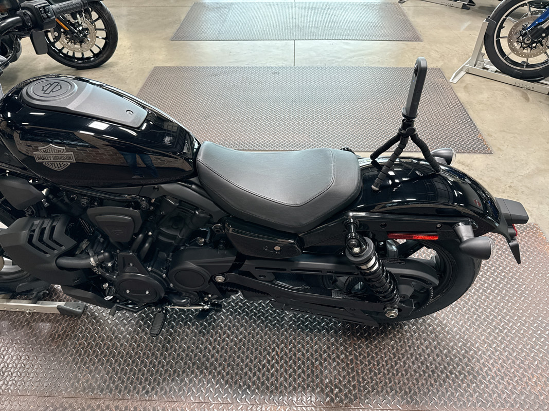 Nightster
