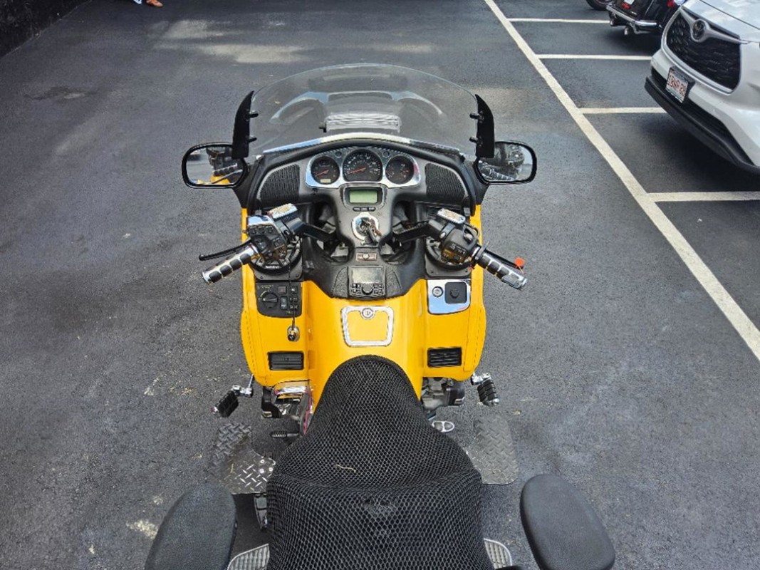 Gold Wing