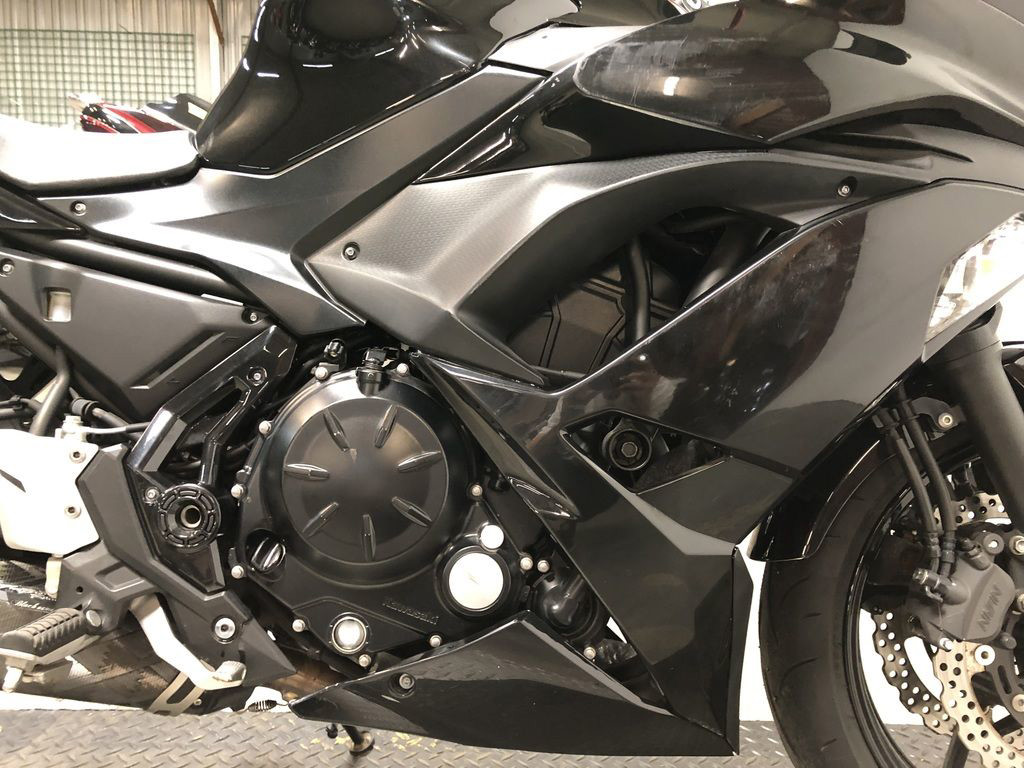 Ninja® 650