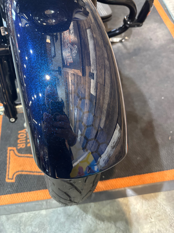 Street Glide® Special