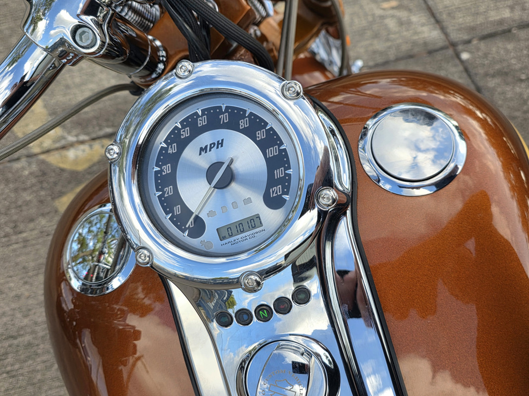 Screamin' Eagle® Softail® Springer® Anniversary