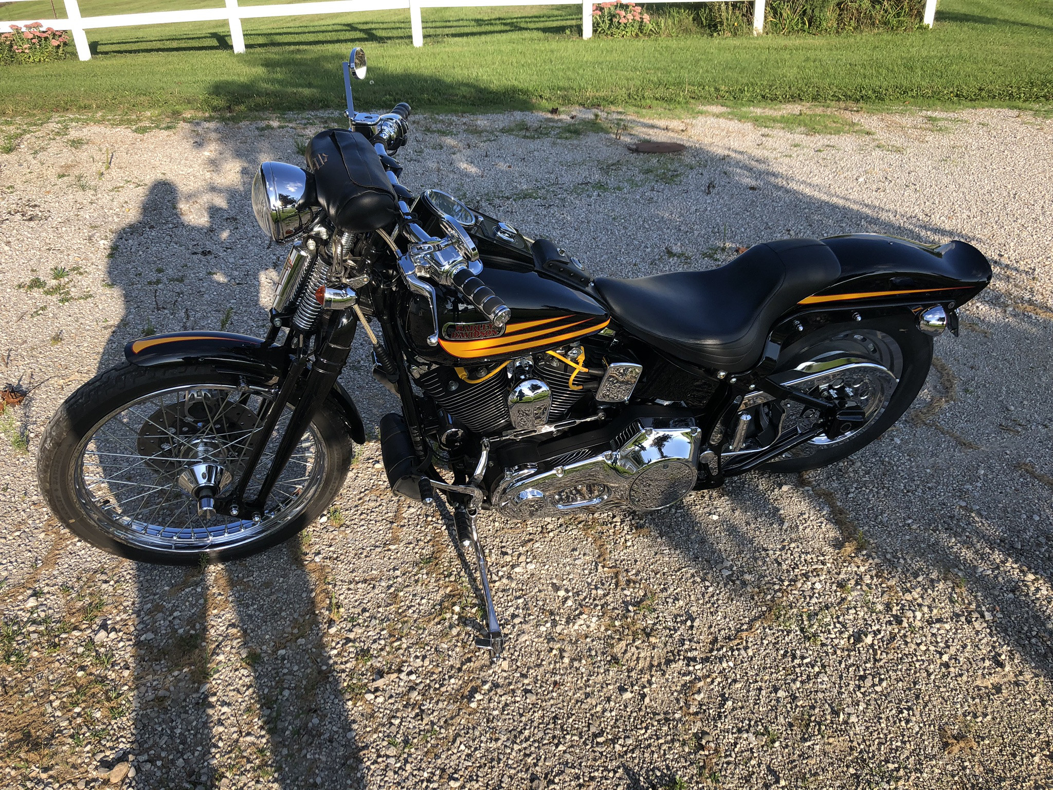 harley bad boy price