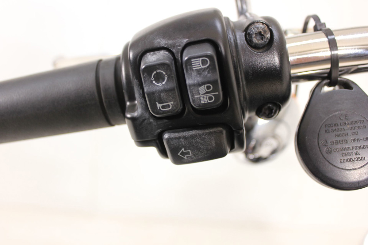 Softail® Standard