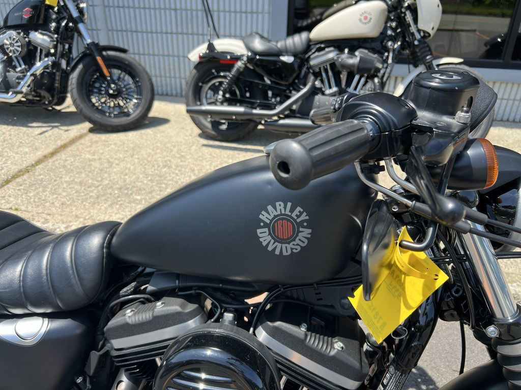 Iron 883®