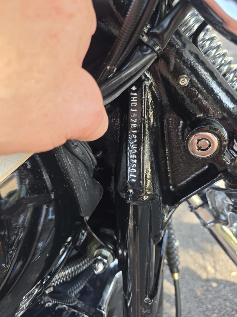 Springer® Softail® Anniversary