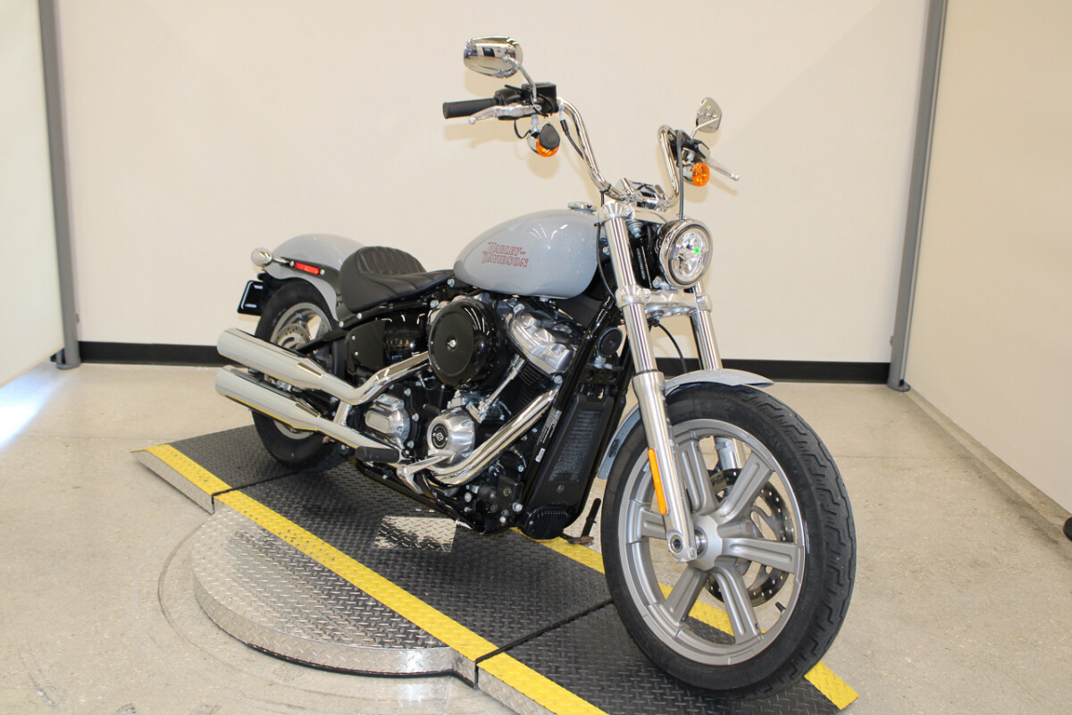 Softail® Standard