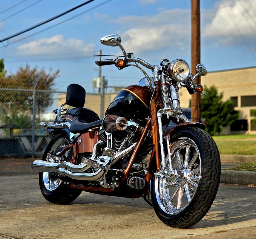Screamin' Eagle® Softail® Springer® Anniversary