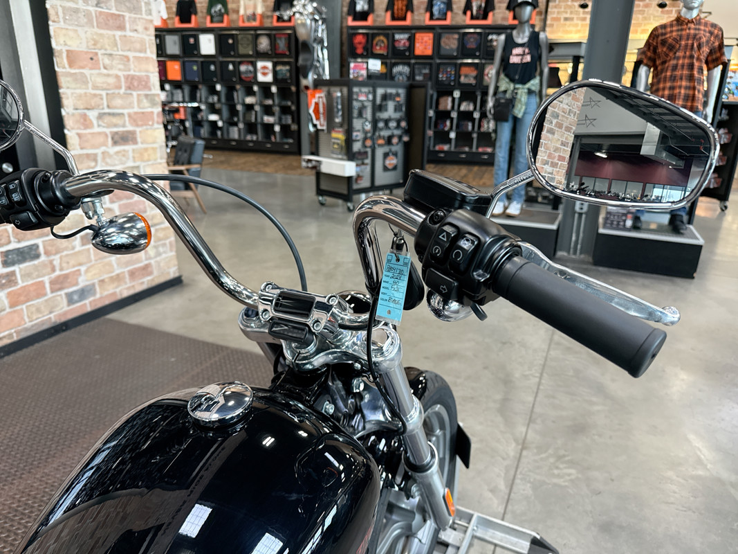 Softail® Standard