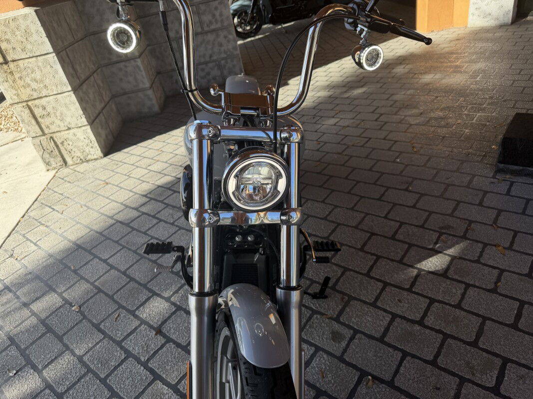 Softail® Standard