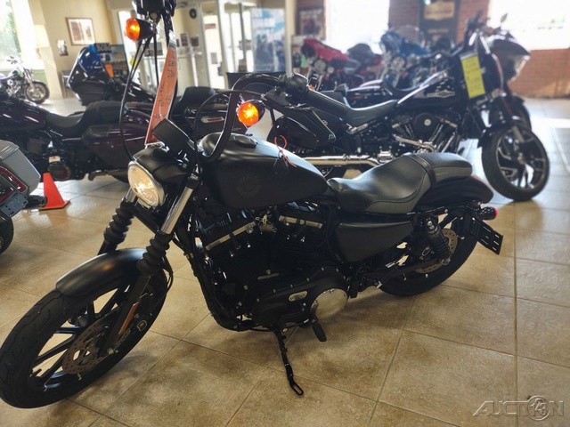 Iron 883®