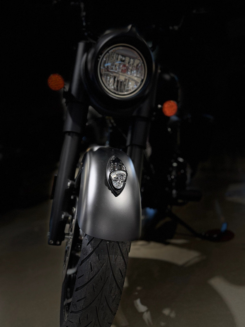 Springfield Dark Horse