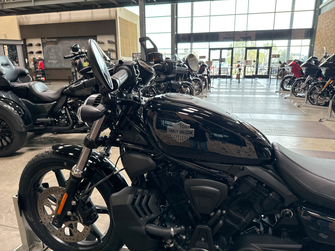 Nightster