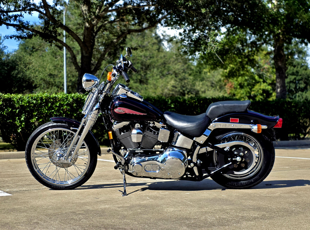 Springer® Softail®