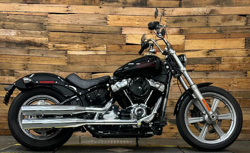Softail® Standard