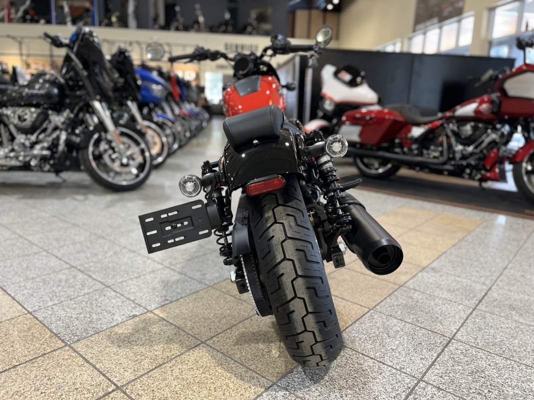 Nightster Special