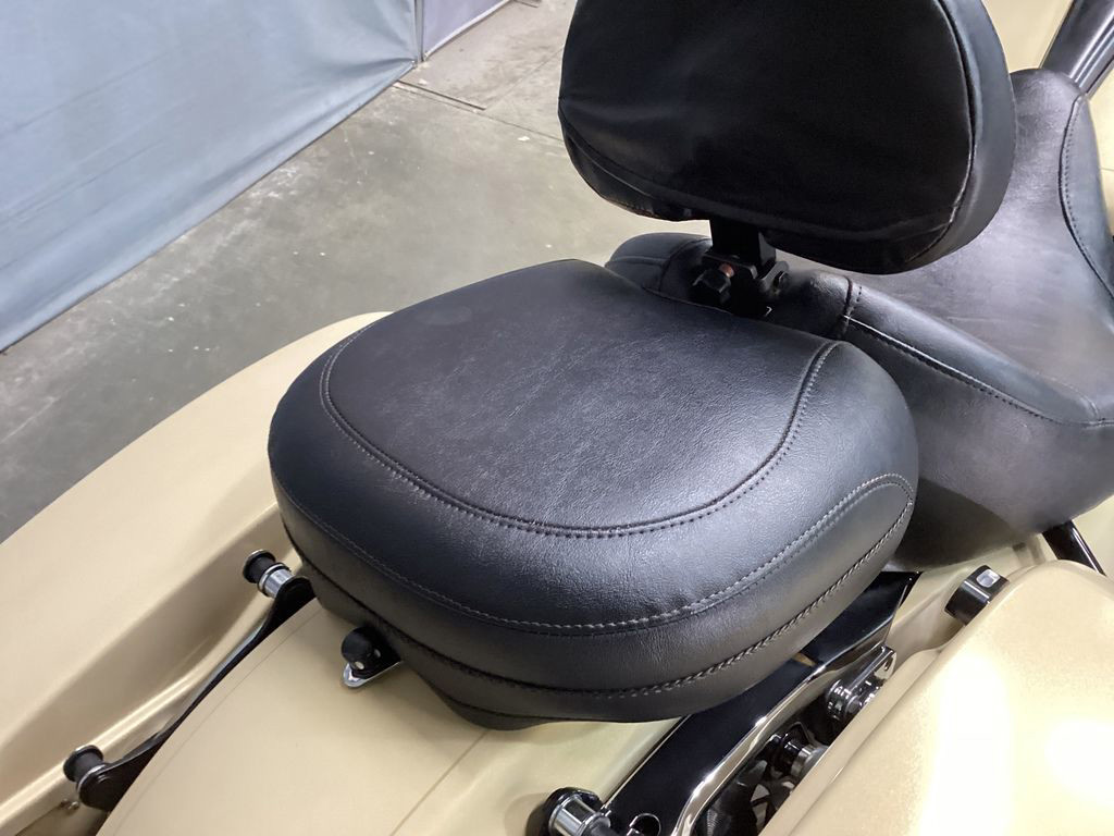 Street Glide® Special