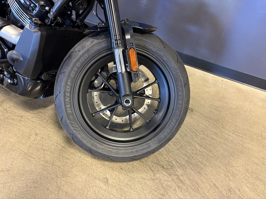 Sportster® S