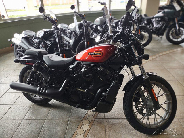 Nightster