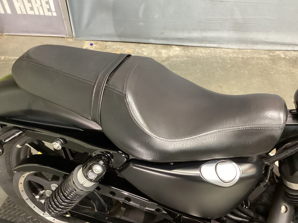 Iron 883®