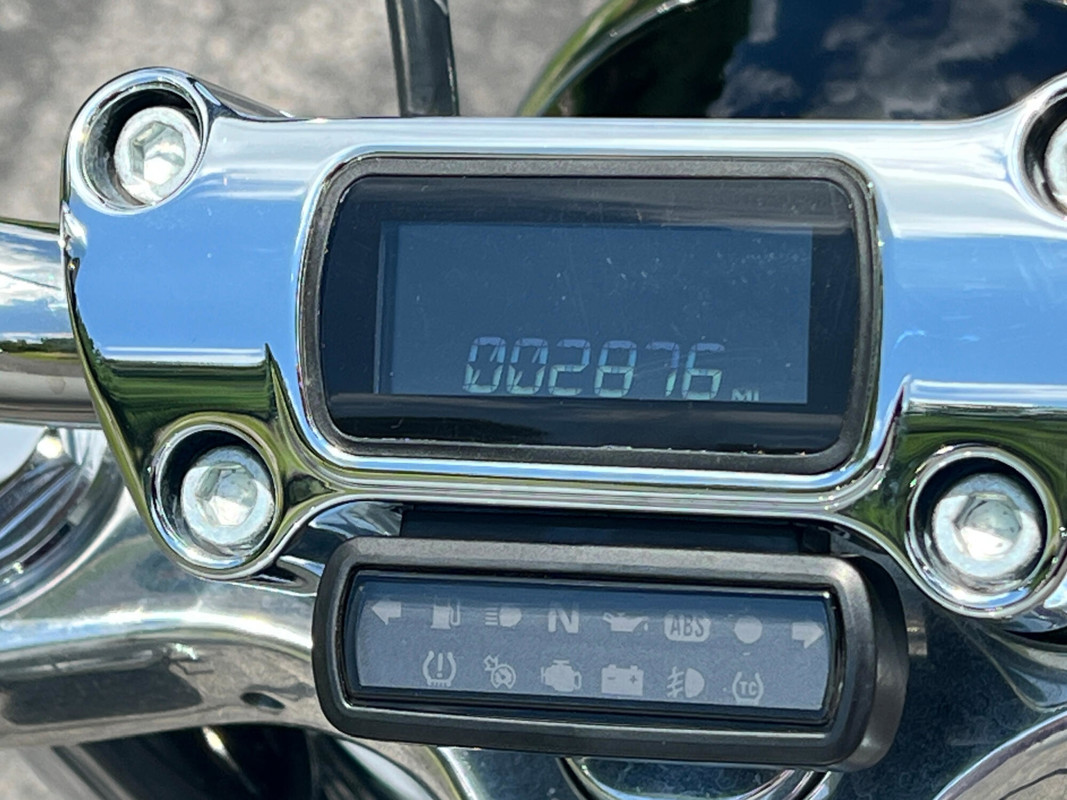 Softail® Standard