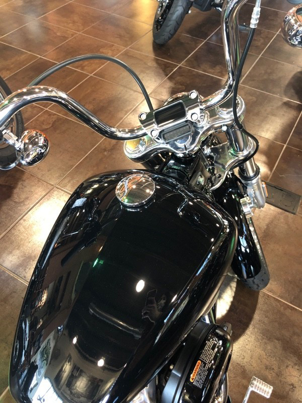 Softail® Standard