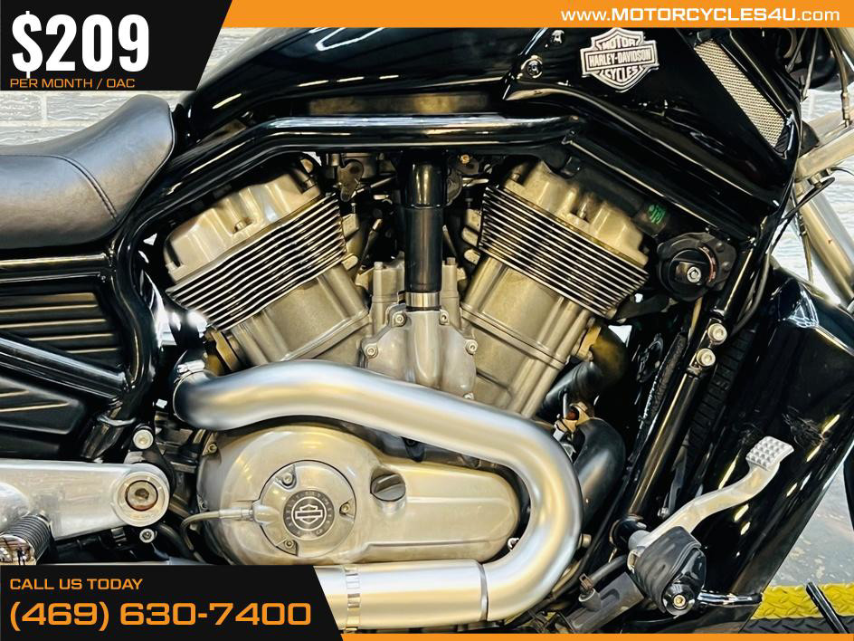 V-Rod Muscle®