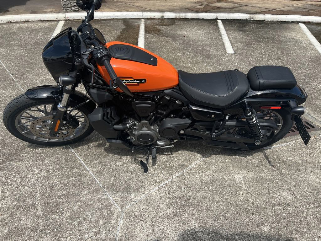 Nightster Special
