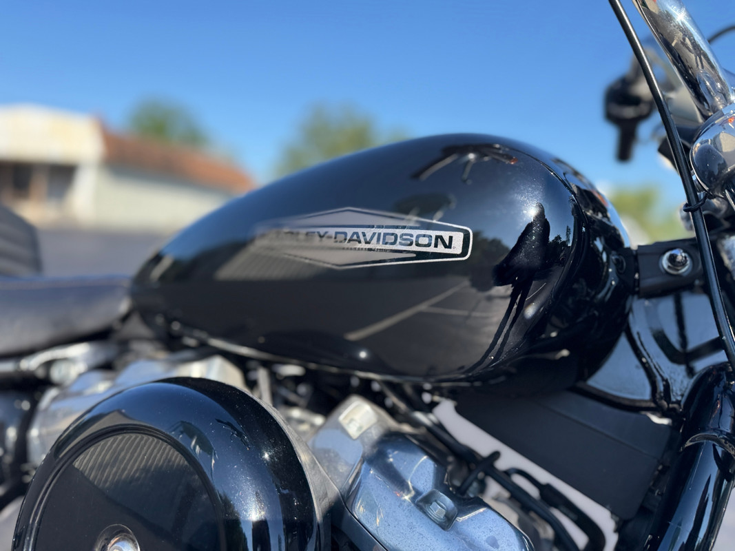 Softail® Standard