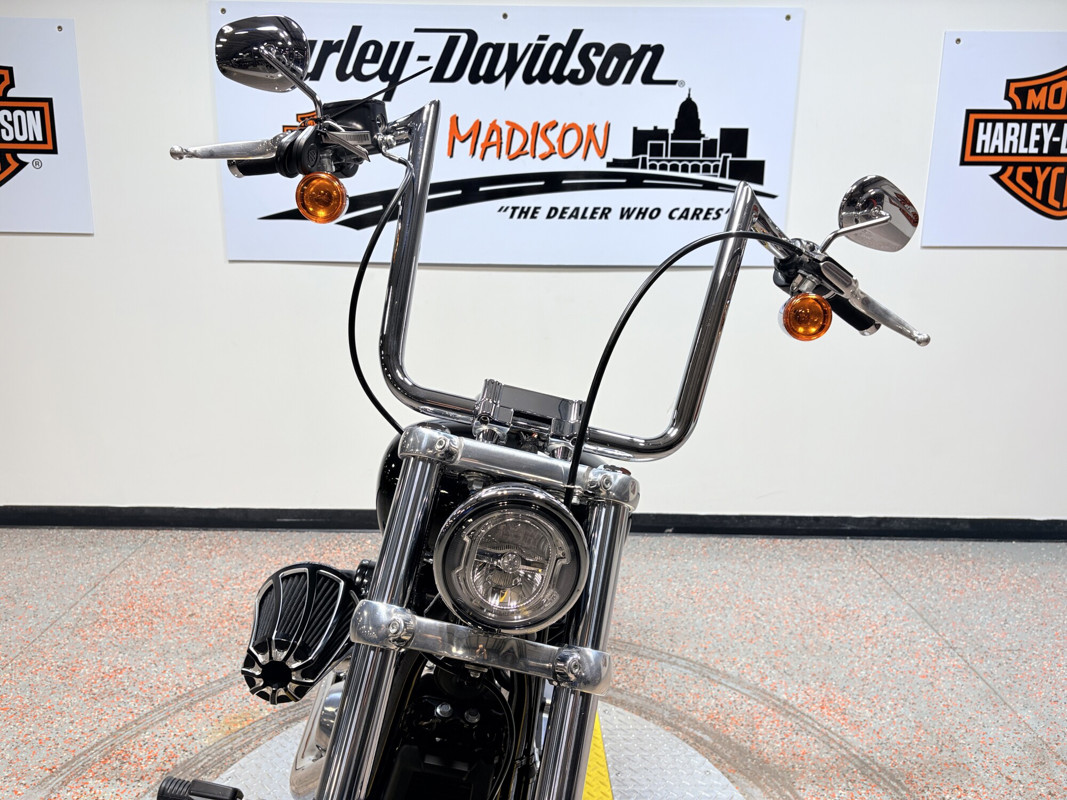 Softail® Standard
