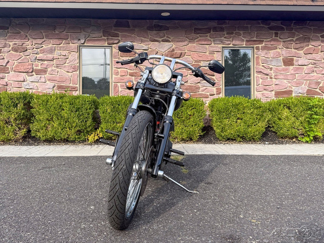 Softail® Night Train®