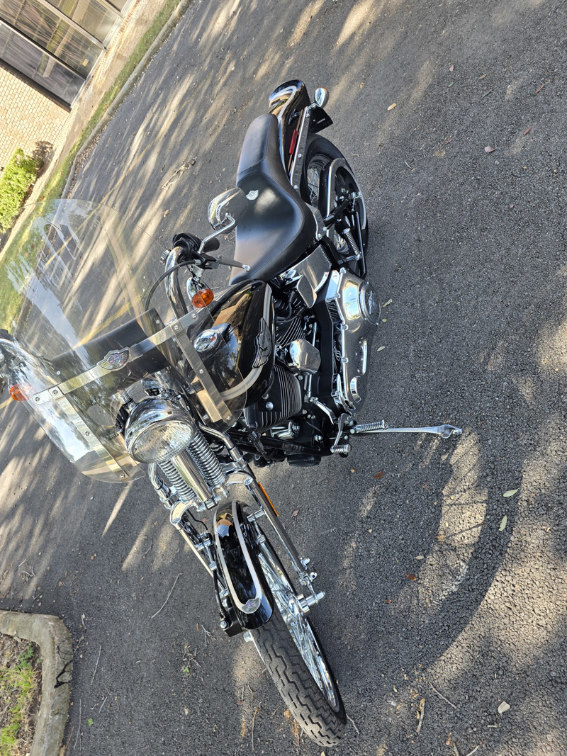 Springer® Softail® Anniversary