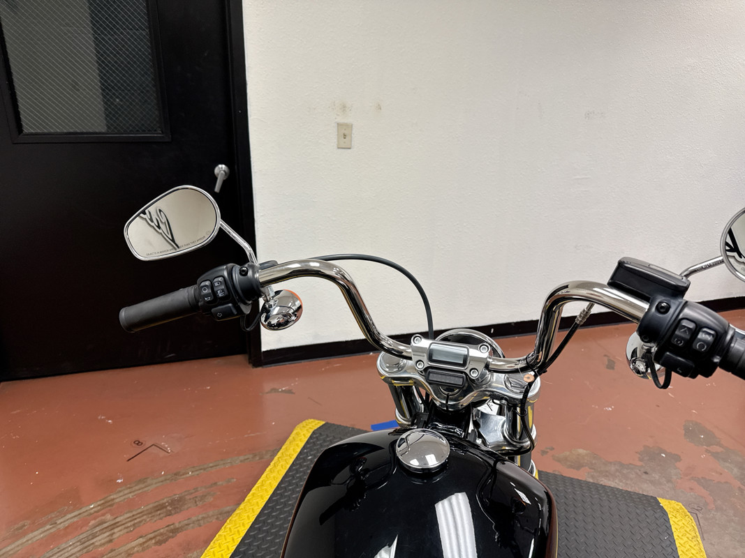 Softail® Standard