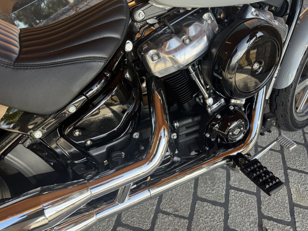 Softail® Standard