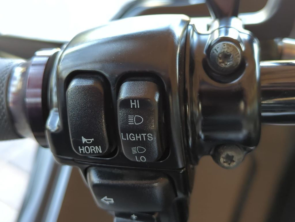 Road Glide® Custom