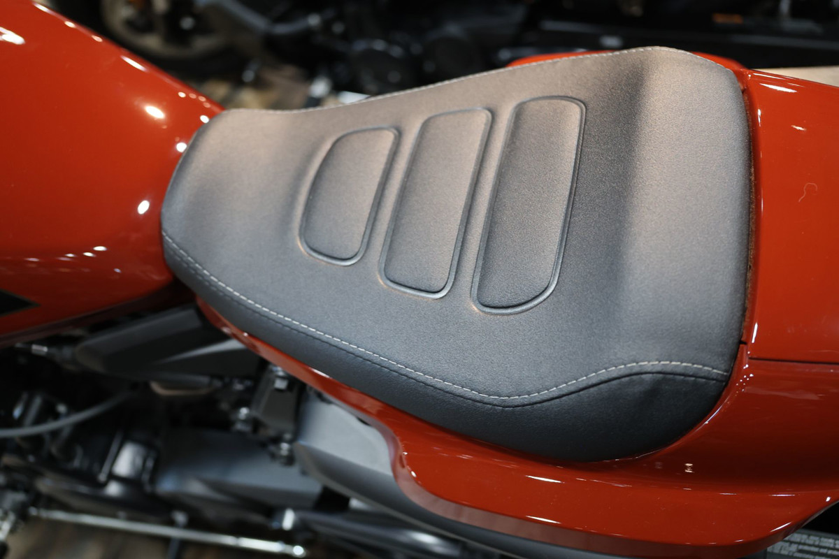 Sportster® S