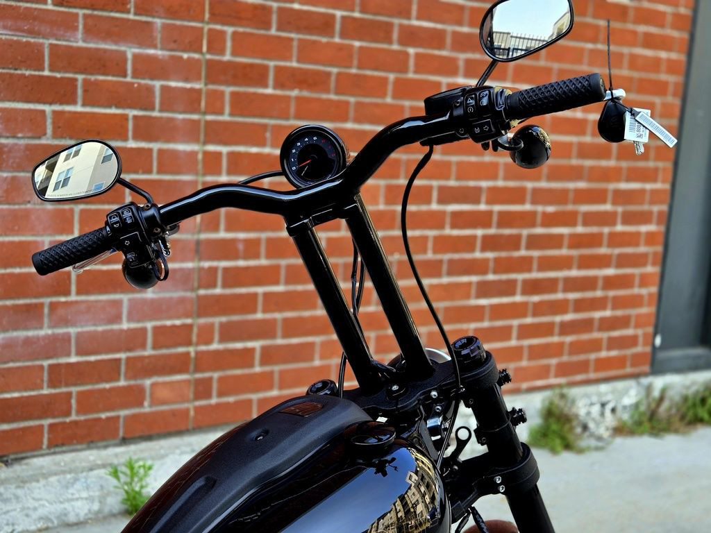 Low Rider® S