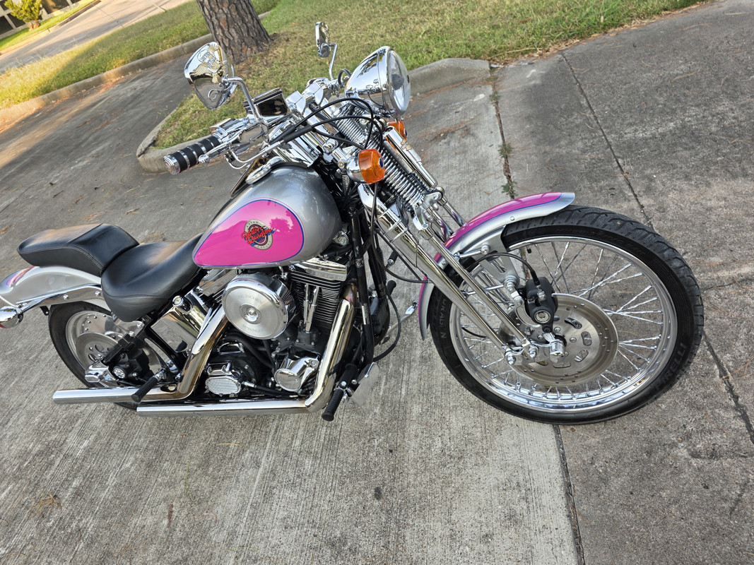 Springer® Softail®