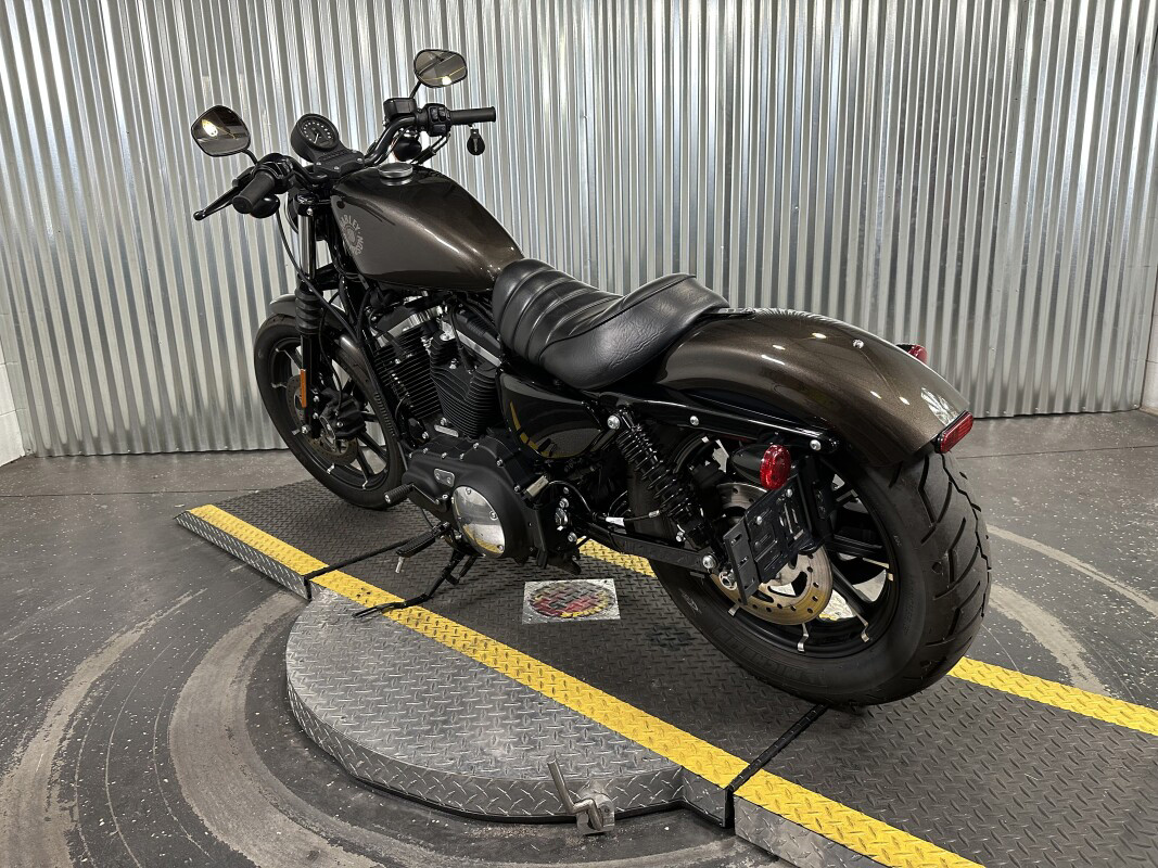 Iron 883®