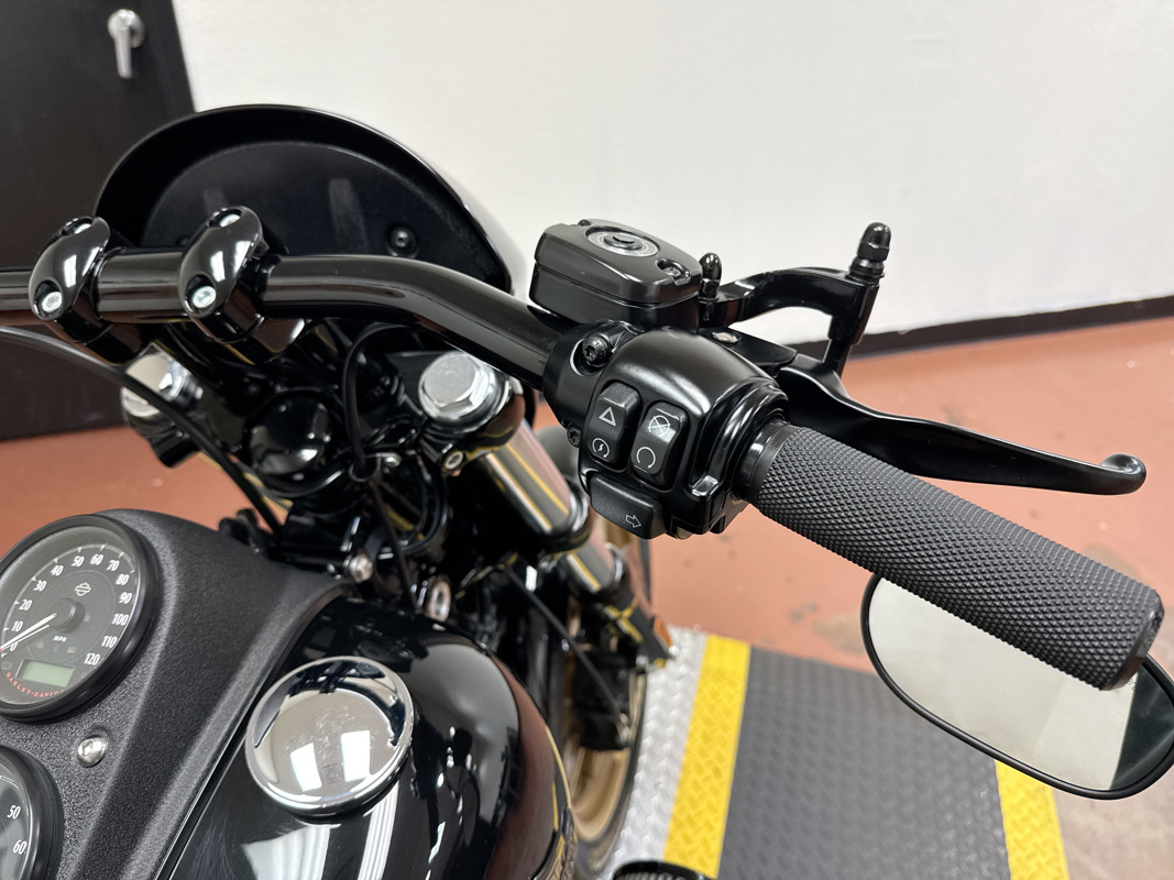 Dyna® Low Rider® S