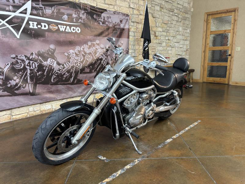 V-Rod® - Silver/Gray Frame
