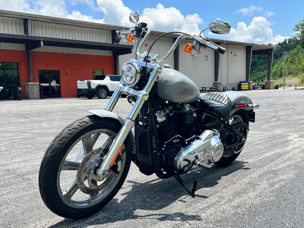 Softail® Standard