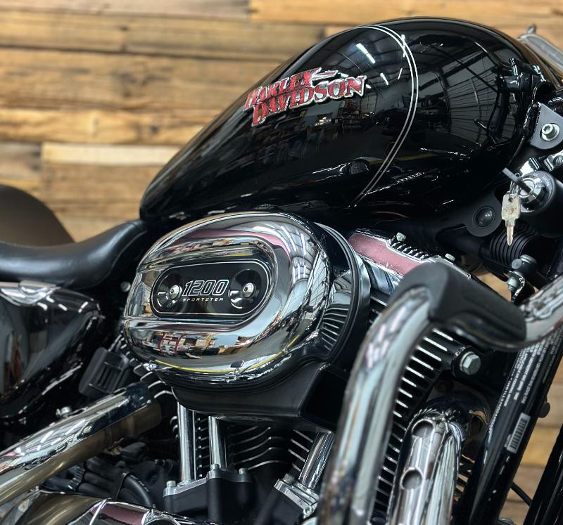 Sportster® 1200 Low