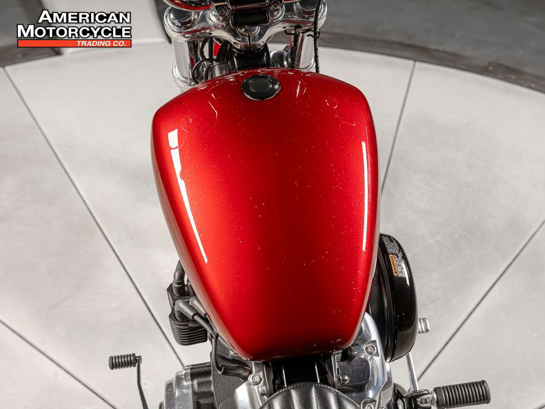 Softail® Standard