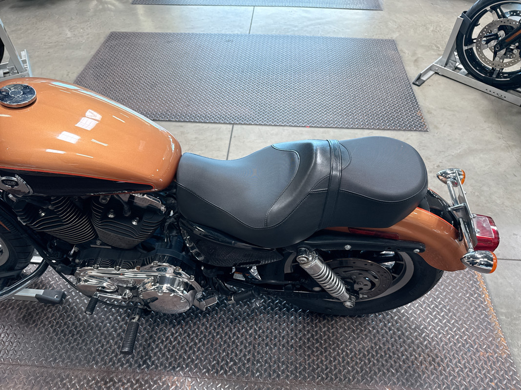 Sportster® 1200 Low Anniversary