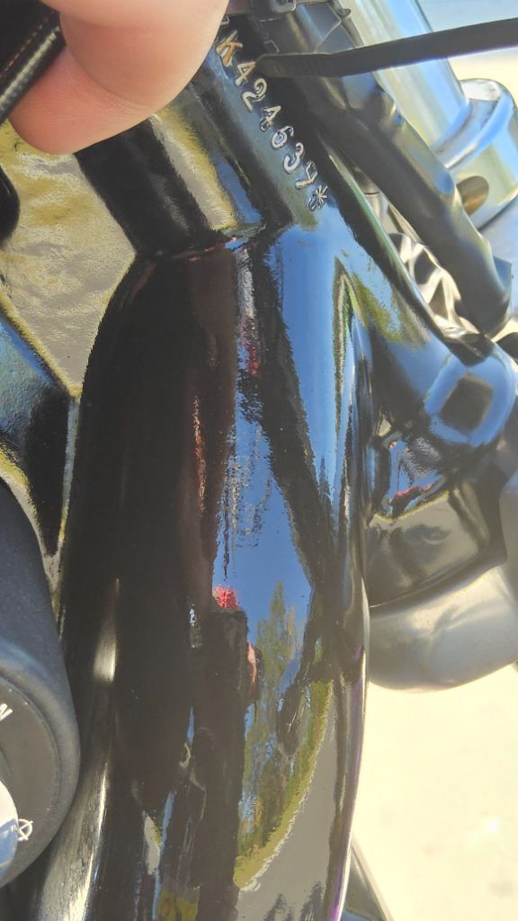 Sportster® 1200 Low