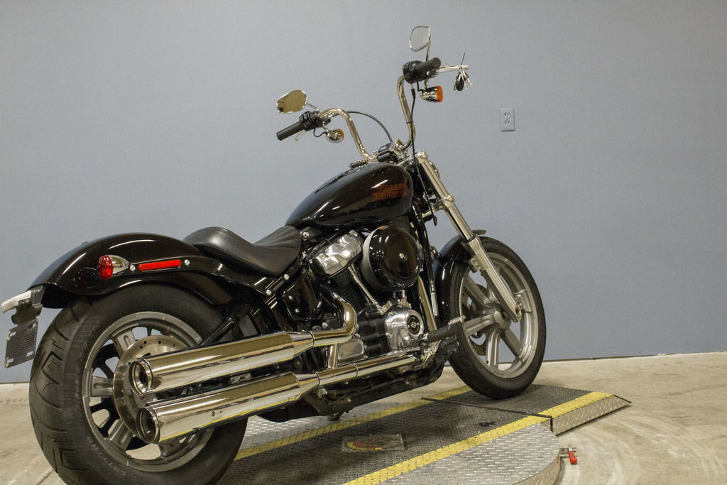 Softail® Standard