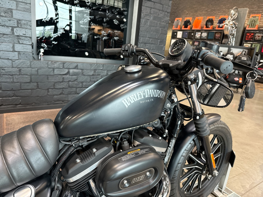 Sportster® Iron 883®